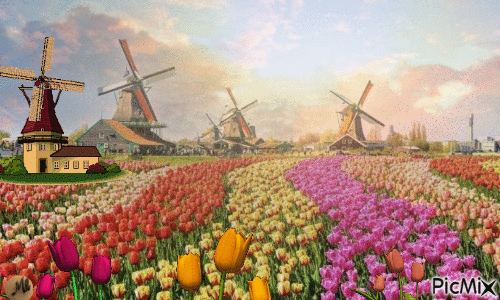 Holanda - GIF animado grátis