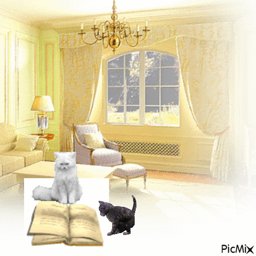 cats - Zdarma animovaný GIF