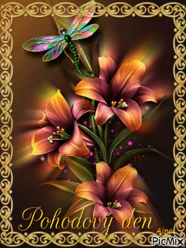 barevný motýl - Bezmaksas animēts GIF