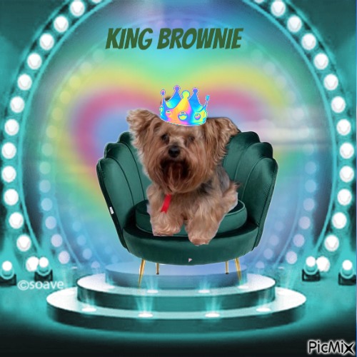 Brownie - png gratuito
