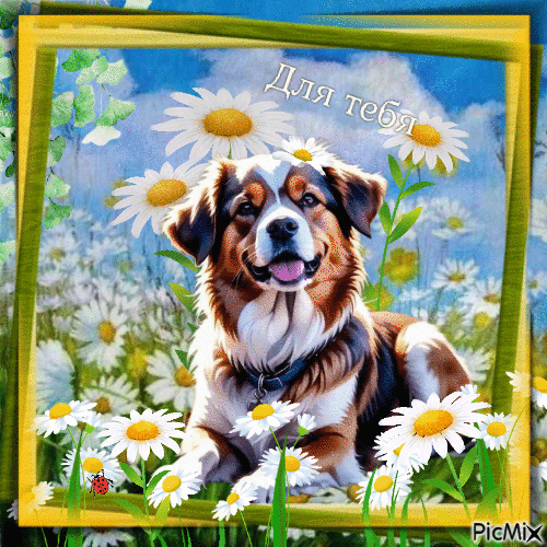 Винтажная собака текст "Для тебя" - Gratis geanimeerde GIF
