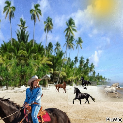 lovak  a tengernél - png grátis