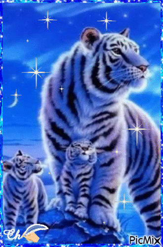 tigre blanc - Darmowy animowany GIF