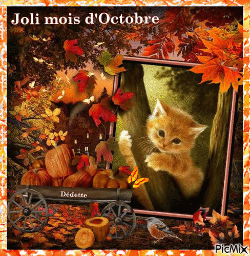 joli mois d'Octobre - 無料のアニメーション GIF