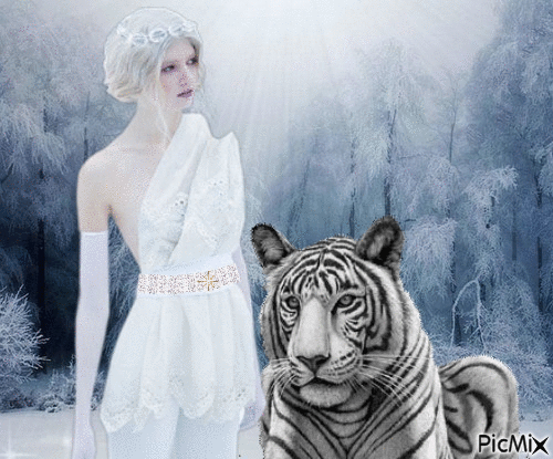 Tigre blanc - GIF animasi gratis