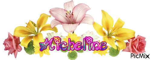 Micheline - Ücretsiz animasyonlu GIF