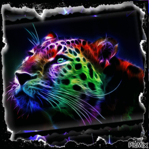 Tigre colors - GIF animé gratuit