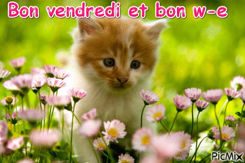 Pour vous - Free animated GIF
