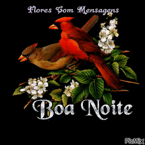 boa Noite - Бесплатный анимированный гифка