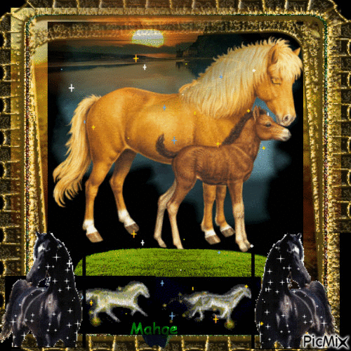 Le monde magique des chevaux - 無料のアニメーション GIF