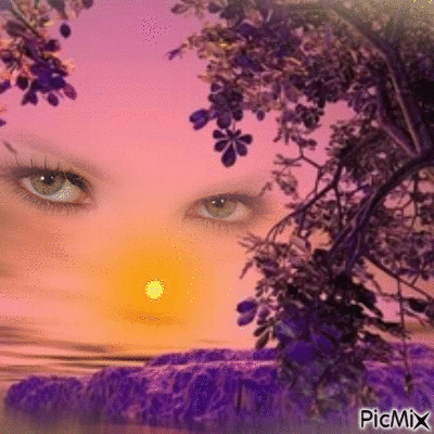sunset over lavender - Nemokamas animacinis gif