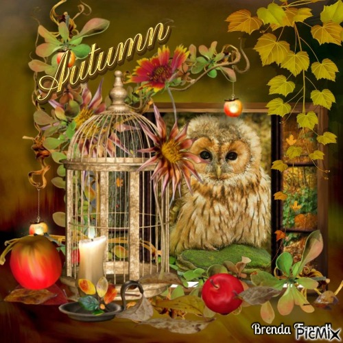autumn owl - png ฟรี