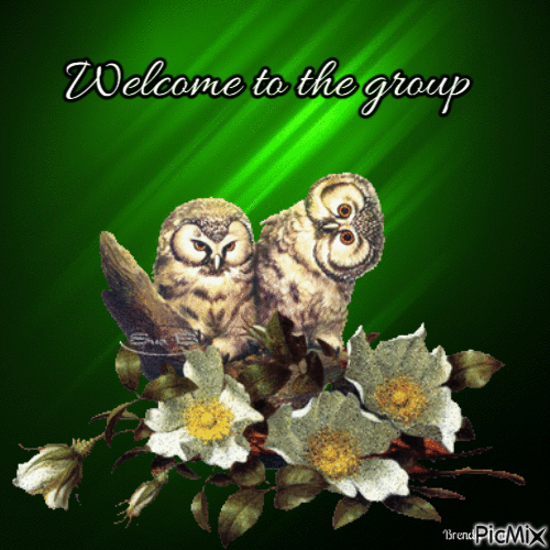 welcome owl - Ilmainen animoitu GIF