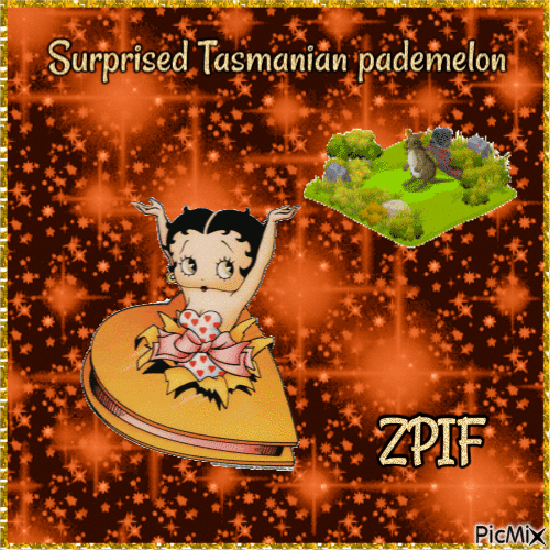 Surprised Tasmanian pademelon - Free animated GIF