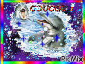 dauphins - 免费动画 GIF