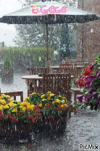 أنا أعشق الشتاء والمطر - Δωρεάν κινούμενο GIF