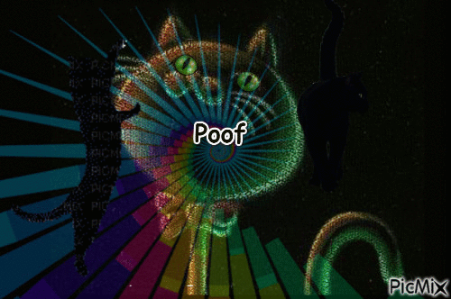 Cats in Psychedelic Lights - GIF animé gratuit