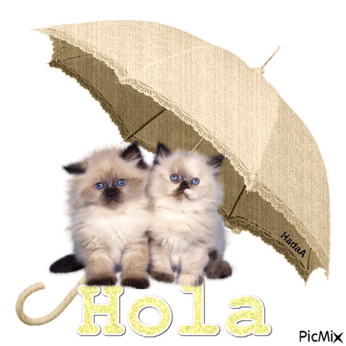 hola - Ingyenes animált GIF