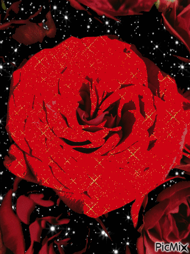 Rosa roja - Ilmainen animoitu GIF