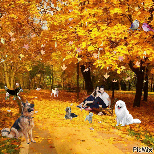 automne - Ingyenes animált GIF