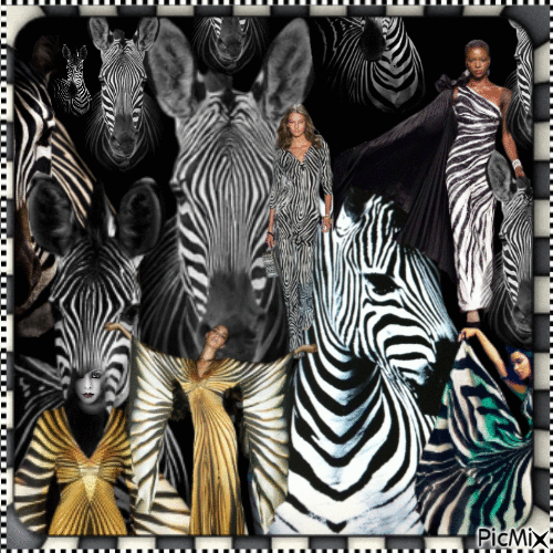 Woman and zebra - GIF เคลื่อนไหวฟรี