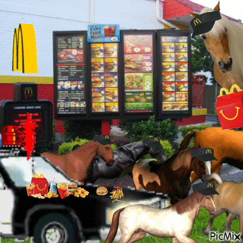 NO HORSES IN THE DRIVE THRU - Gratis animeret GIF