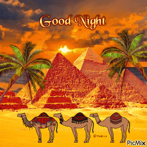 Good Night Pyramids, Camels and Palms - GIF เคลื่อนไหวฟรี