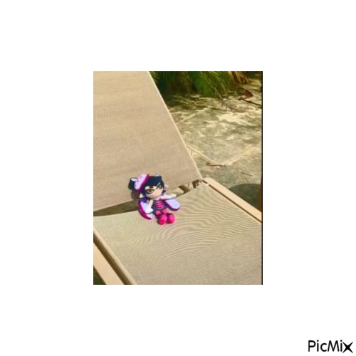 callie on a beach chair - 免费动画 GIF