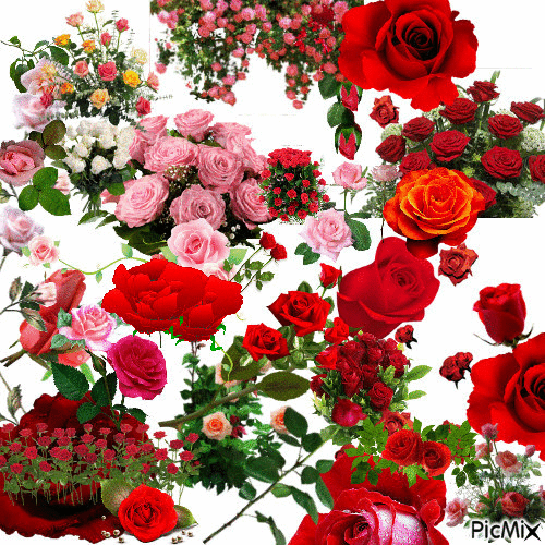 przepadam za różami /PMS - Bezmaksas animēts GIF