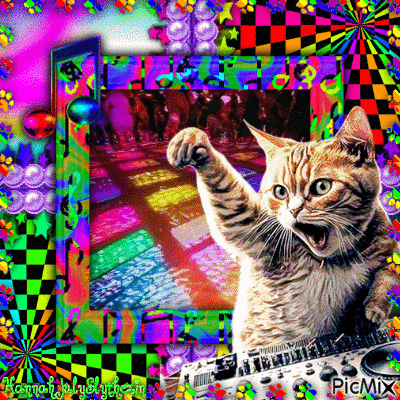 [♪]DJ KITTEE[♪] - 無料のアニメーション GIF