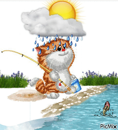 fishing cat - Bezmaksas animēts GIF