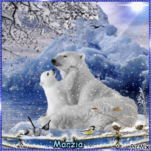 orso polare - GIF animado gratis