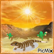 Desert Goanna - Gratis animerad GIF