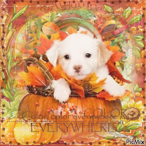 Autumn dog pumpkin - Безплатен анимиран GIF