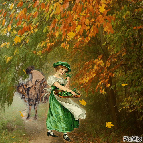 encounter on the brisk autumn trail - Бесплатный анимированный гифка