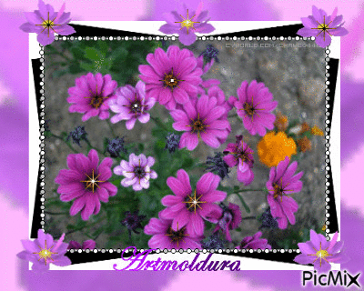 quadro floral 2 - Бесплатни анимирани ГИФ