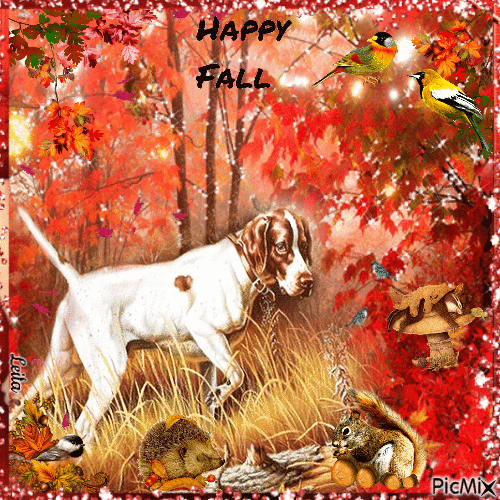 Happy Fall. Animals - GIF animé gratuit