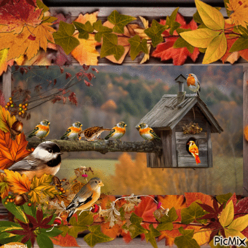 Vögel im Herbst - Безплатен анимиран GIF