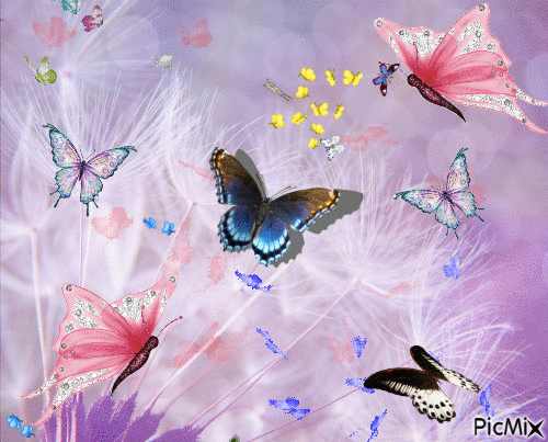 Papillonnages - GIF animé gratuit