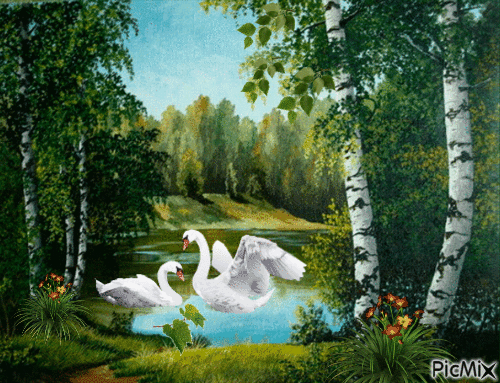 влюбленные лебеди - Gratis animeret GIF