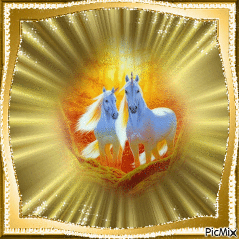 cheval blanc - Безплатен анимиран GIF