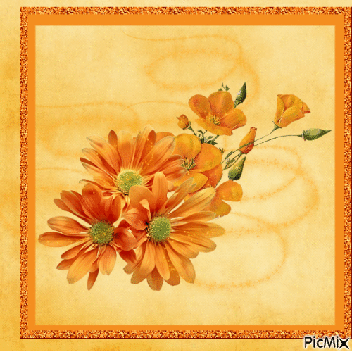 orange flower - Gratis geanimeerde GIF