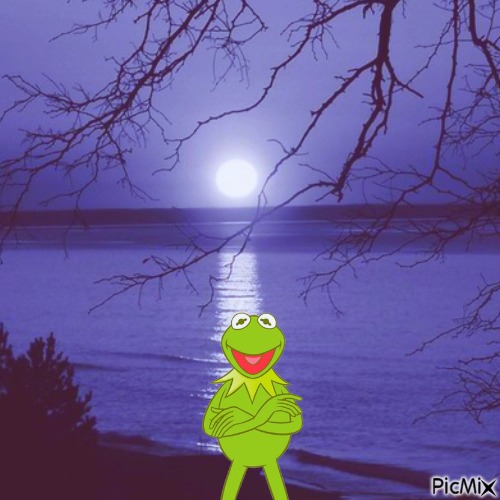 Kermit at night - gratis png