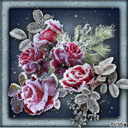 winter rose - GIF animé gratuit