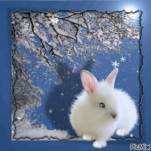 králík - Gratis geanimeerde GIF