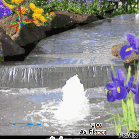 As Flores - 免费动画 GIF