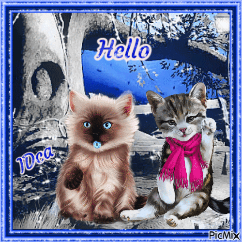 Hello les chatons - Gratis animerad GIF