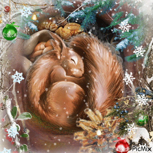 Squirrel in winter - Gratis animerad GIF