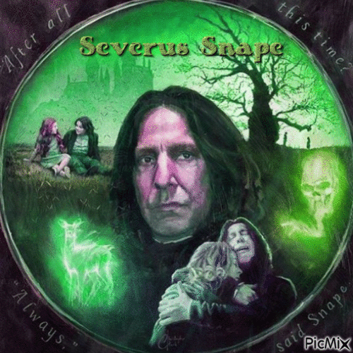Severus Snape - Harry Potter - GIF animado grátis
