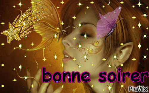 bonne soirer - Бесплатный анимированный гифка